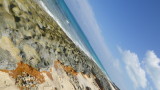 img0206.jpg
