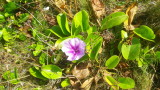 img0210.jpg