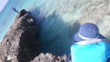 img0213.jpg