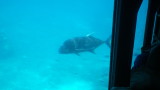 img0227.jpg
