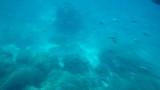 img0228.jpg