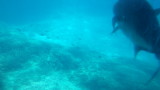 img0229.jpg