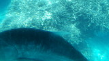 img0234.jpg