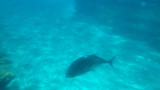 img0236.jpg