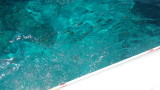 img0239.jpg