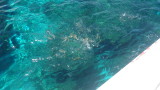 img0240.jpg