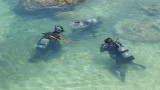 img0244.jpg