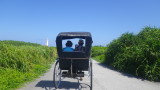 img0253.jpg