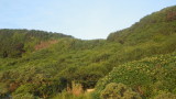 img0265.jpg