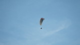 img0268.jpg
