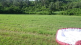 img0338.jpg