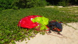 img0341.jpg