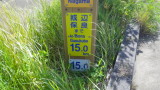 img0349.jpg