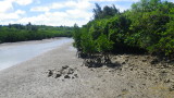 img0413.jpg