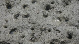 img0414.jpg