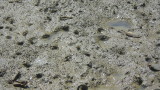 img0415.jpg