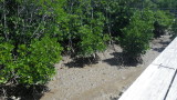 img0419.jpg