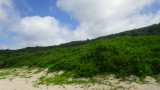 img0428.jpg