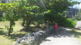 img0446.jpg