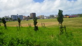 img0451.jpg