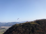img0050.jpg