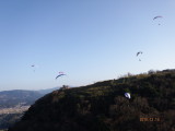 img0062.jpg