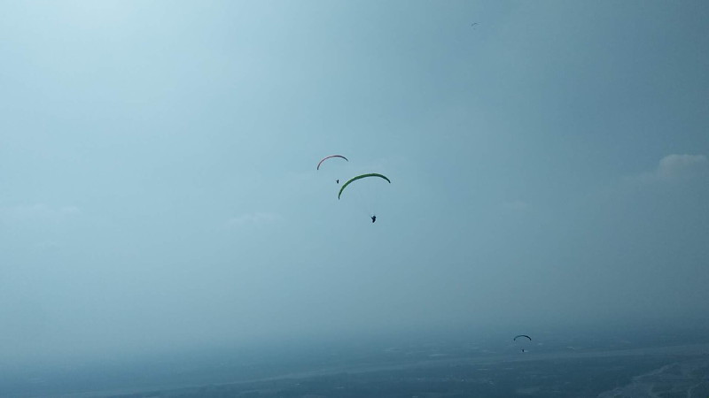 img0010.jpg