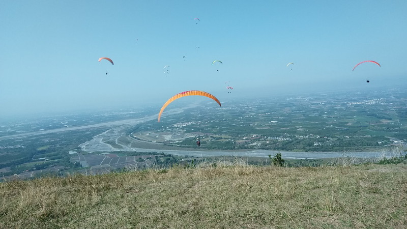img0087.jpg