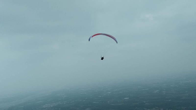 img0155.jpg