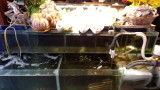 img0177.jpg