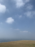 img0021.jpg