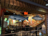 img0046.jpg