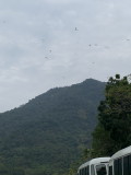 img0105.jpg