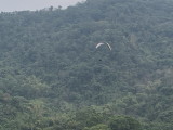 img0107.jpg