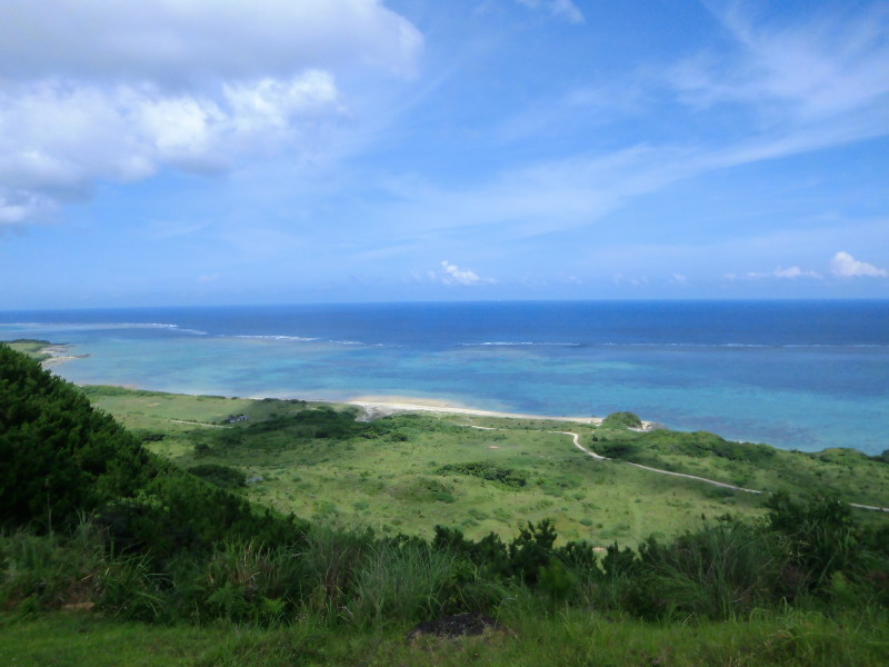 img0020.jpg