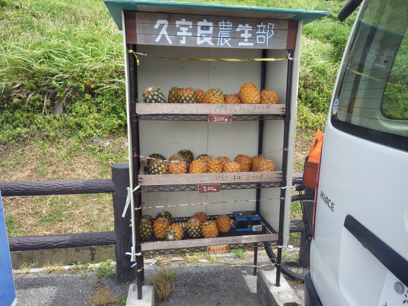 img0075.jpg