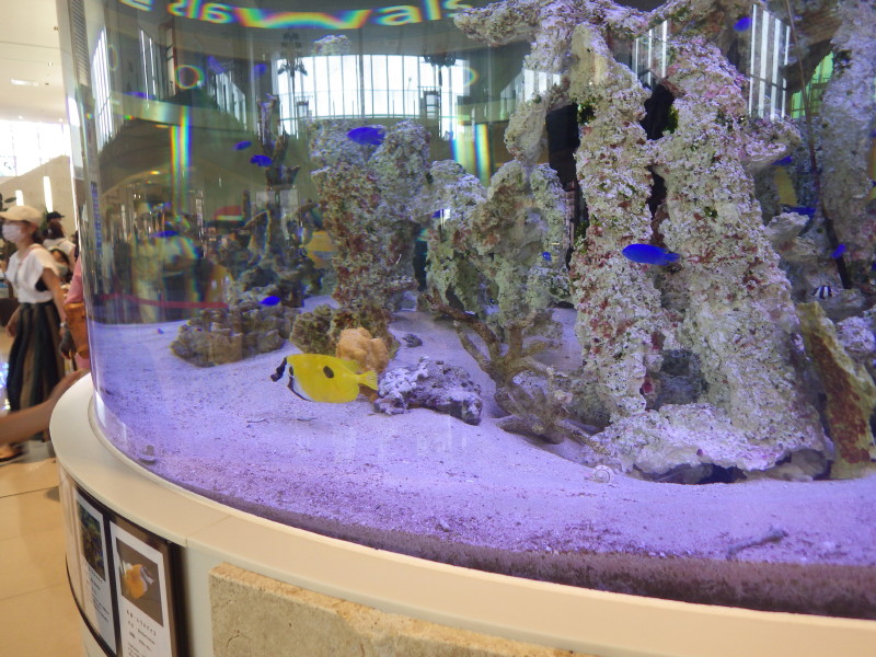 img0079.jpg