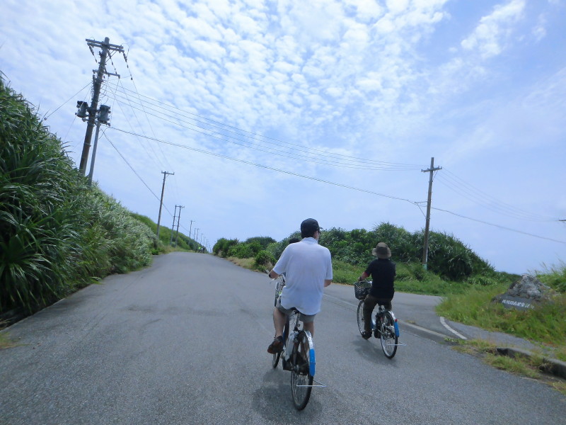 img0120.jpg