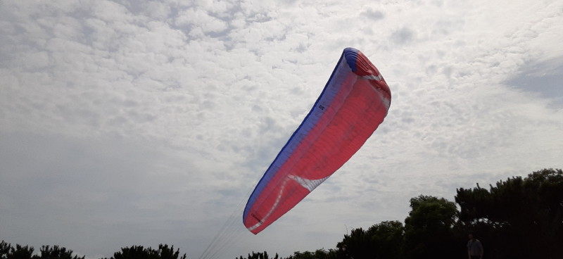 img0135.jpg