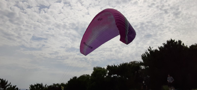 img0143.jpg