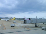 img0005.jpg