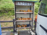 img0075.jpg