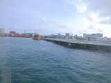 img0102.jpg