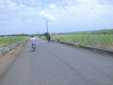 img0121.jpg