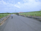 img0123.jpg