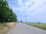 img0124.jpg