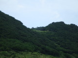 img0126.jpg