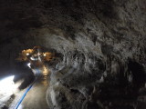 img0203.jpg