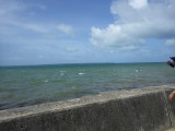 img0205.jpg