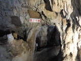 img0222.jpg